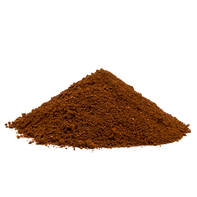 Chaga-Pilz
