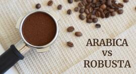 Arabica vs. Robusta – welcher Kaffee ist der richtige?
