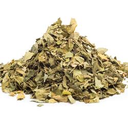 MORINGA BLÄTTER - das Heilkraut