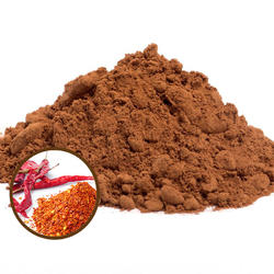 HEISSE SCHOKOLADE PULVER 42 % BIO - CHILI