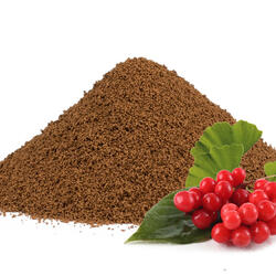 Zichorienkaffee mit Schisandra und Ginkgo biloba