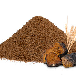 Zichorienkaffee mit Dinkel und Chaga