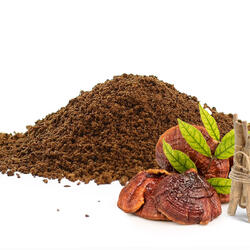 Adaptogener Kaffee mit Reishi und Ashwagandha - nur gemahlen erhältlich