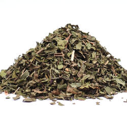 PFEFFERMINZE (Mentha piperita)