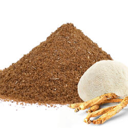 Adaptogener löslicher Kaffee mit Ginseng und Löwenmähne